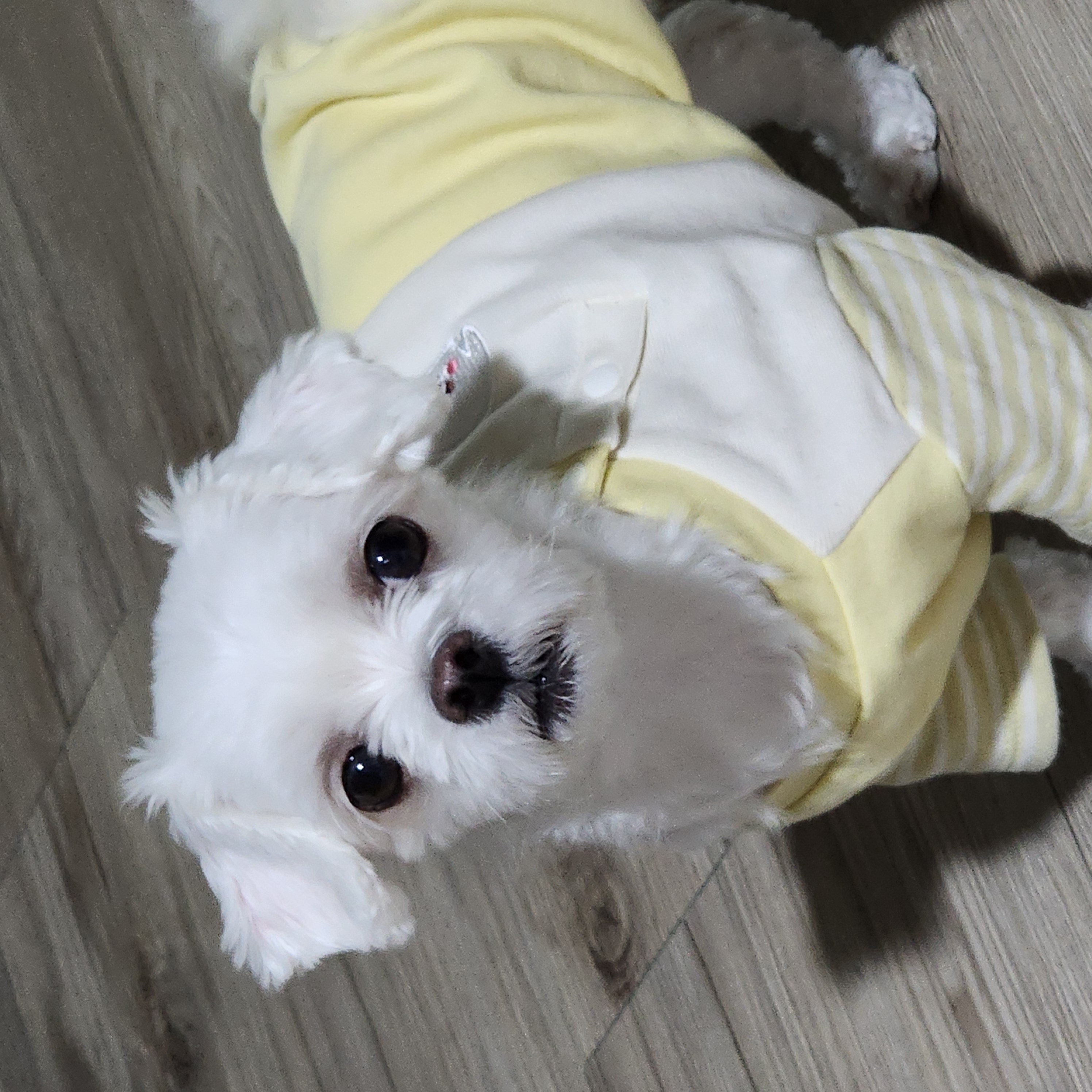 KakaoTalk_20260614_223202838.jpg