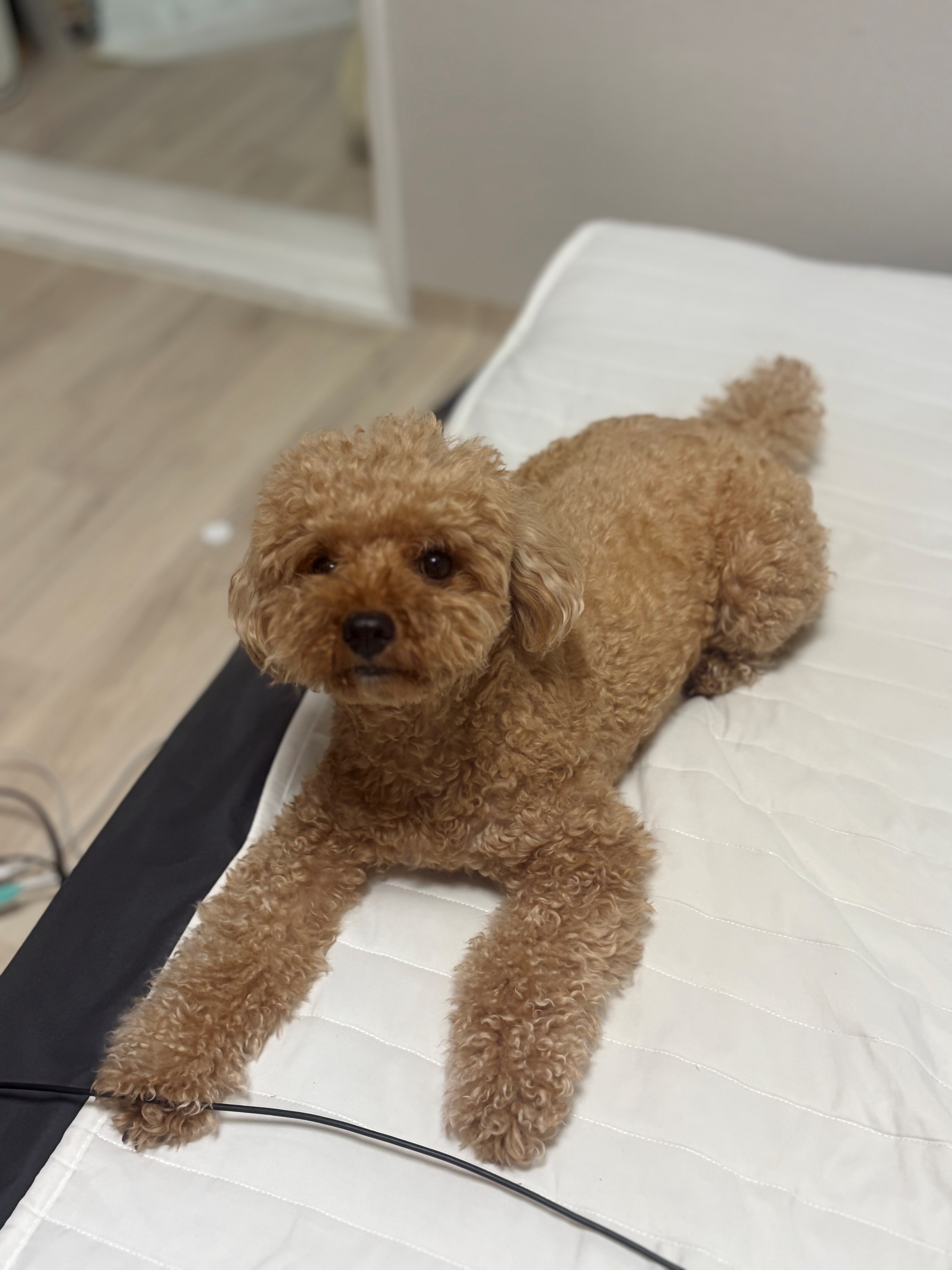 KakaoTalk_20260610_173625646.jpg