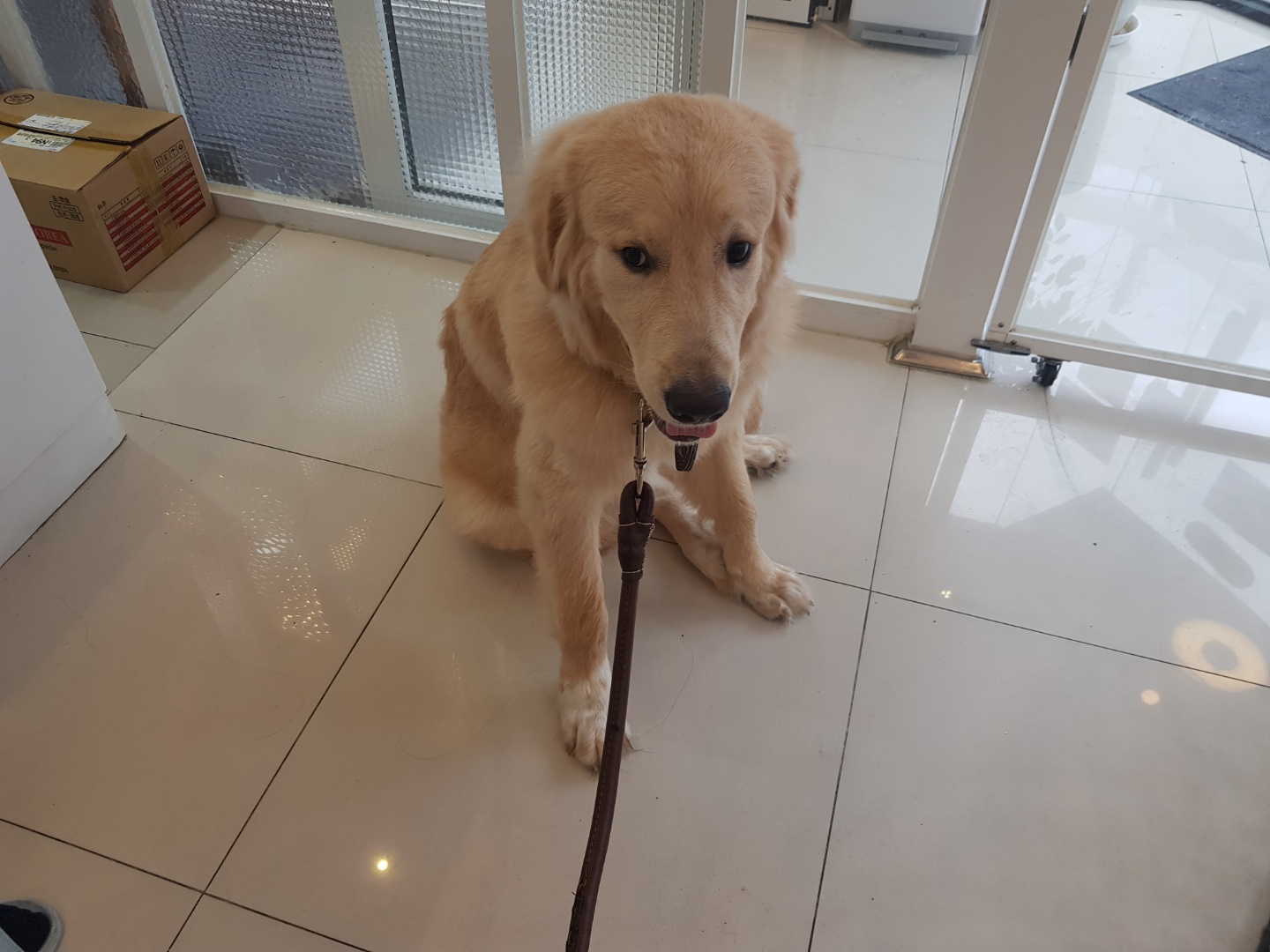 올라(5만) (3).jpg