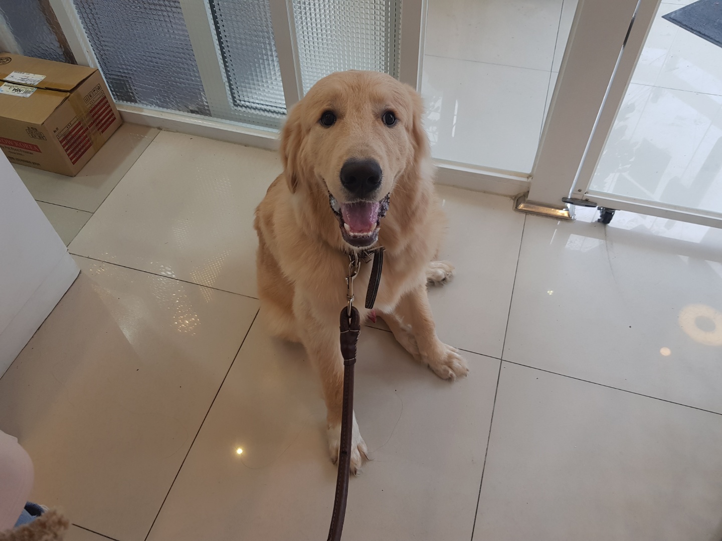 올라(5만) (1).jpg