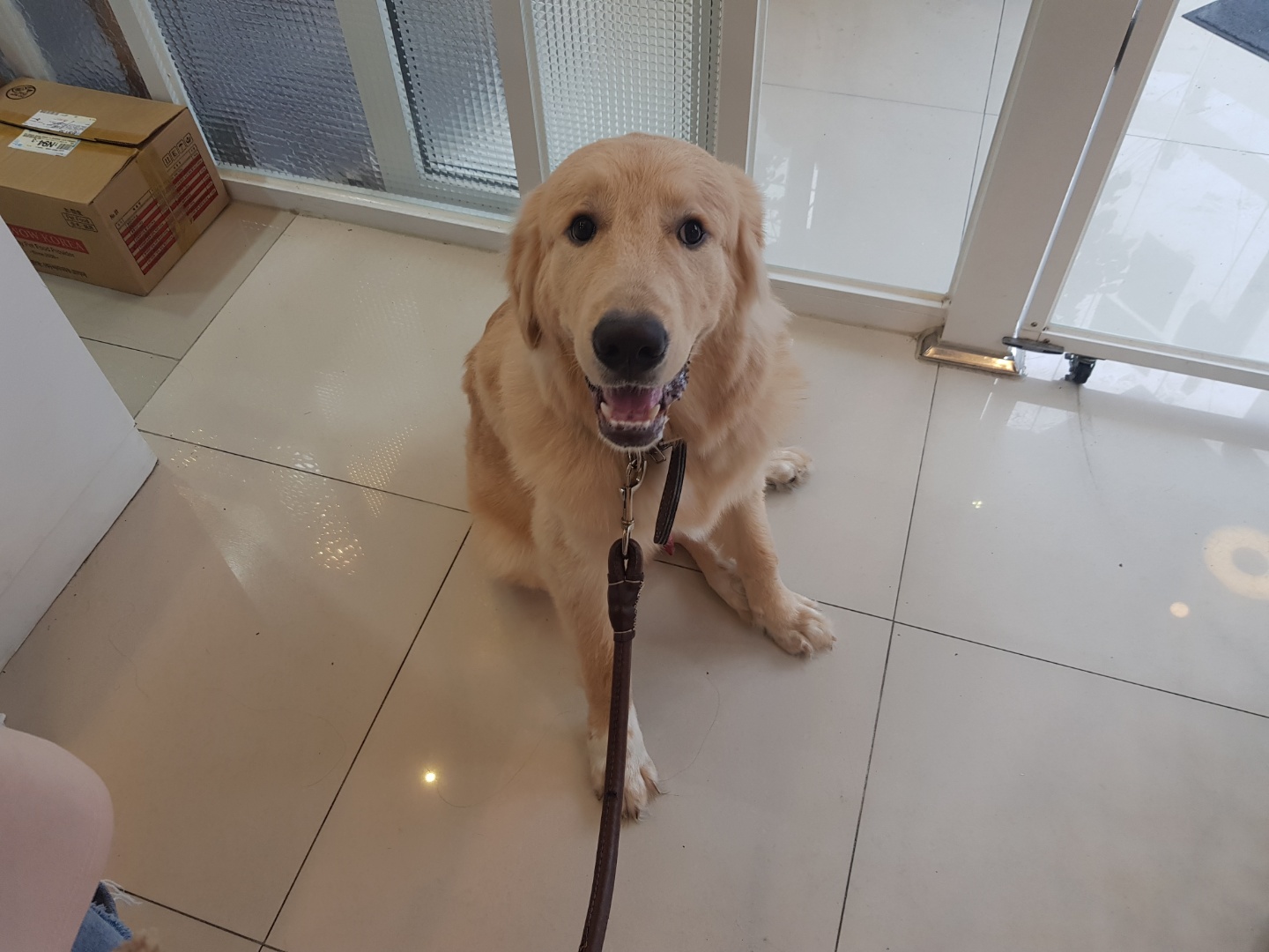 올라(5만) (4).jpg