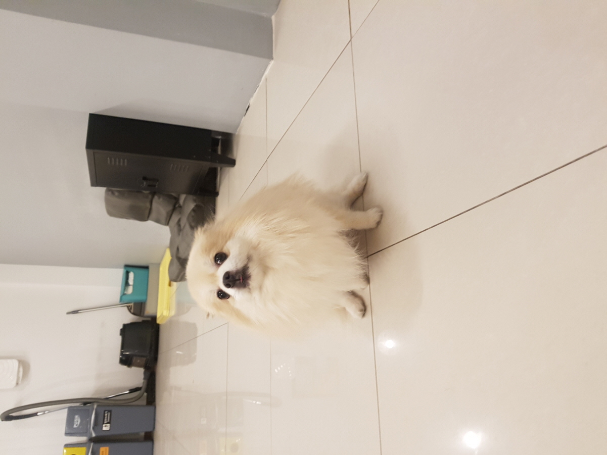 만두 책임비5만원.jpg