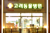 고려동물병원