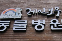 레인보우동물병원