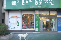 온누리동물병원