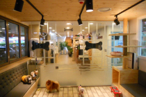 24시야간응급동물병원 펫츠올