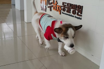 두남자동물병원