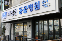 피정현동물병원