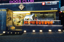 24시독스동물병원