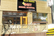 베스트동물병원