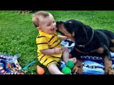 Nette Babys spielen mit Rottweiler Hunde Video Compilation 2014