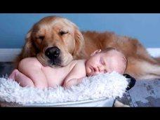 Best Of Funny Cats And Dogs Love Babies Compilation 2015 || NEW
